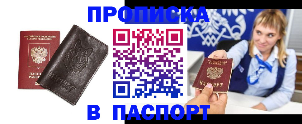 где прописаться в Арсеньеве